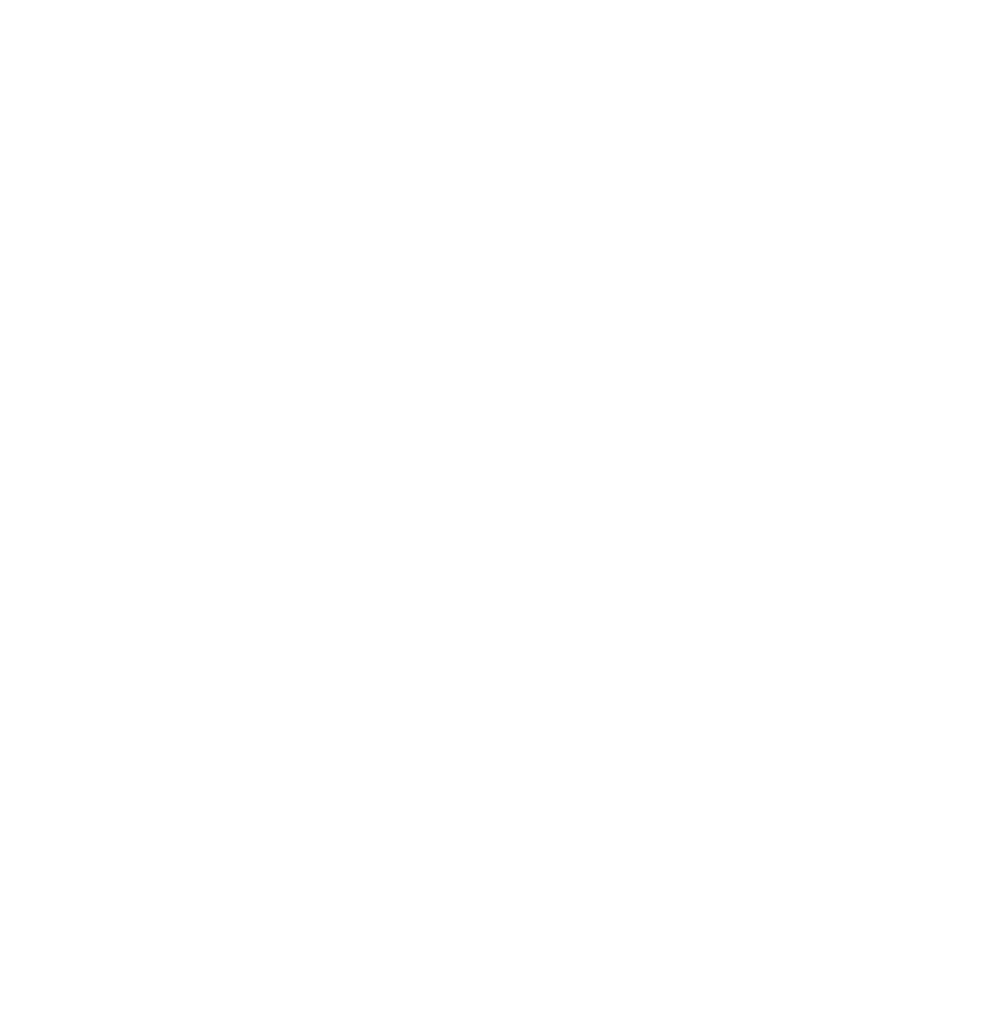 Александр Ботвиньев